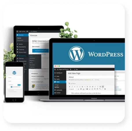 Word Press Website Design